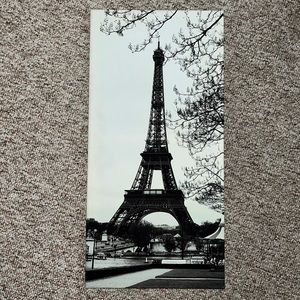 Paris Canvases (2)